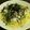 プング's cooksnap of when they made ***ツナおろしスパゲティ***.
