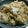 sakanakku's cooksnap of when they made 簡単おなかに優しい親子丼(他人丼).
