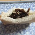 きらり流れ星's cooksnap of when they made ポケットサンドにぴったり♪冷凍食パン.