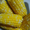 はる＊ゆう's cooksnap of when they made とうもろこしの茹で方.
