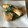 かこみ's cooksnap of when they made ちくわの大葉揚げ★.