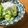 Jaye's cooksnap of when they made 超簡単にもう一品☆しらすきゅうり☆.