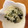 クックマン７７'s cooksnap of when they made 簡単♪しらすのみぞれ酢の物.