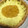 ・GON・'s cooksnap of when they made 夏デザート☆白桃のヨーグルトムース.