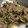 真愛ママ's cooksnap of when they made 麻婆きゅうり♡ジャージャー麺にも.
