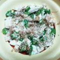 ソプラノさん's cooksnap of when they made ささみとオクラと豆腐の冷奴風サラダ.