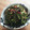 金魚のひらり's cooksnap of when they made ささぎのきんぴら☆.