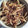 クック42FGGU☆'s cooksnap of when they made ご飯のおともに！しょうがのきんぴら.