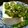 せつせつせつ's cooksnap of when they made 簡単！ごはんに、お豆腐にオクラ.