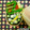 LiLiCo2's cooksnap of when they made 七夕の日に無添加の天の川弁当.