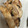 はるか＊ワーママ's cooksnap of when they made 鶏のわさび漬け焼き.