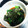 J_son's cooksnap of when they made めんつゆだけ！セリと海苔で簡単もう一品.
