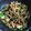 クック6DZPFU☆'s cooksnap of when they made 豚こま肉で安ウマ☆チンジャオロース.