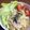 SMAパパ's cooksnap of when they made ハムたっぷり中華風サラダ♪.
