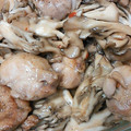kimimaruo's cooksnap of when they made チキン＆舞茸の和風スイチリマヨ炒め♪.