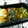 kururin18's cooksnap of when they made ＊ほうれん草のごま和え＊.