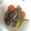 大和栗鼠's cooksnap of when they made 野菜の煮浸し.