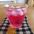 種から芽へ's cooksnap of when they made さっぱり赤しそジュース.