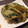 愛うらら's cooksnap of when they made きゅうりの箸やすめ.