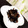 とろとろともひこ's cooksnap of when they made 簡単！甘めのひじきの煮物(^^♪.