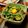 Coo1215's cooksnap of when they made なすの肉みそ炒めアレンジ★ごまみそ風味☆.