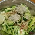 かめのたろう's cooksnap of when they made もりもり食べれる☆みょうがのレタスサラダ.