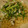 クック4Q5EVL☆'s cooksnap of when they made 梅シソきゅうりと鶏ささみのさっぱりパスタ.