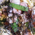料理初心者☆みっこ's cooksnap of when they made 五目ちらし寿司.