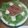 楽ちん楽ちん's cooksnap of when they made くじらベーコンのサラダ.