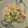 もか75's cooksnap of when they made コロコロサラダ☆.