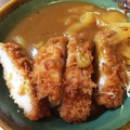 丸々だいすけ's cooksnap of when they made お蕎麦屋さんの和風カレー丼.