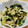 コンテちゃん's cooksnap of when they made きゅうりと白菜のナムル風あえもの.