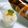 ちー（・＿・）'s cooksnap of when they made ☆ほろ酔い気分！カルーアで大人のかき氷☆.