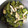 かまきりこ's cooksnap of when they made 伏見唐辛子と薄揚げの煮びたし.