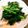 ⊃蜜柑⊂'s cooksnap of when they made ほうれん草の減塩おひたし.