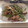 caddis12's cooksnap of when they made しゃきしゃき山菜ミズと豚こまの生姜焼き.