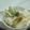 ゆうかりコアラ's cooksnap of when they made ツナ入りポテトサラダ.