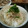 ぐでたまパン's cooksnap of when they made しらす干しとみょうがと大葉のまぜまぜ.