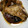 抹茶もつこ's cooksnap of when they made 安くおいしく♪簡単鯛のあら煮.
