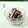 ♪珠香♪'s cooksnap of when they made 即席・おつまみ♪長芋のゆかり和え.