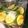 クックZ89ZV7☆'s cooksnap of when they made サッパリQちゃん風キュウリの浅漬け.