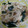 まりおこーら's cooksnap of when they made えのきとわかめの簡単和え物♪.