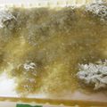 Ｍぱん's cooksnap of when they made のせてかけるだけなのに絶品☆とろろの冷奴.
