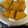 fujiko2000's cooksnap of when they made 簡単！かぼちゃの煮物.