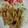 ささらんらん's cooksnap of when they made ご飯がすすむ！我が家の豚肉の生姜焼き♡.