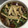 maomom0821's cooksnap of when they made 豆苗ときのこの煮浸し.