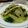 yukitarooo's cooksnap of when they made セロリーのピクルス・エスニック炒め.