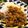 105♡'s cooksnap of when they made 肉味噌♪ 簡単つくりおき.