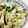 クック8XSJMD☆'s cooksnap of when they made ササミときゅうりのごまサラダ.