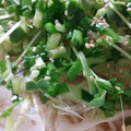 ふぁんたにゃん's cooksnap of when they made 絶品!　みょうが＋そば♪　.